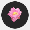 Suche nach abgeschieden aufkleber Blume