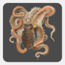 Suche nach kraken aufkleber Meerestiere