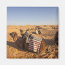 Suche nach tunesien magnete Wüste sahara