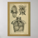 Recherche de bouche humaine posters Anatomie