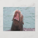 Suche nach seelöwe poster Tiere