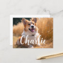 Suche nach hundefreund postkarten Für sie