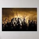 Suche nach maisfeld poster Landwirtschaft