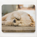 Suche nach kanada tag mousepads Im freien