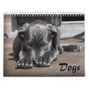 Suche nach terrier kalender Bezaubernd