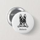 Recherche de belges badges Dog