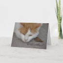 Suche nach gepunktete katze karten Kitty
