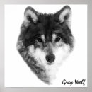Recherche de loups gris posters Loup solitaire