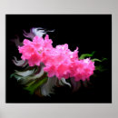 Suche nach rosa azaleen poster Elegant