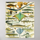 Suche nach vintage biologie poster Meer