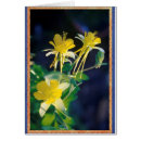 Recherche de colombine cartes postales Nature