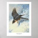 Recherche de moineau posters Vintage