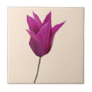 Suche nach rosa tulpen fliesen Für sie