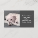 Suche nach ungewöhnliche visitenkarten Spaß