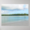Recherche de turtle posters Photographie