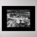 Recherche de roche de rivière Photographie