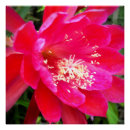 Recherche de fleurs tropicales roses posters Floral
