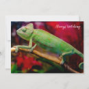 Recherche de lézard invitations Faune
