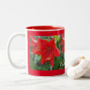 Suche nach amaryllis tassen Blume