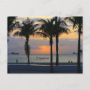 Recherche de lauderdale cartes postales Palmiers