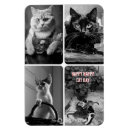 Recherche de blanc de chat refrigérateur magnets Pour animaux