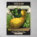 Suche nach squash poster Vintag