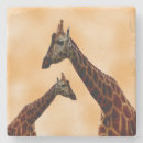 Recherche de girafes dessous de verres Faune