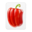 Recherche de poivron magnets Légumes