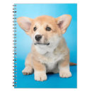 Suche nach corgi kleine notizbücher Königin elizabeth's