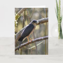 Recherche de perché vœux cartes Gris