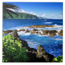 Suche nach hawaii fliesen Ozean