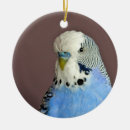 Recherche de perruque ornements Bleu