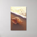 Suche nach maui leinwandbilder Küste