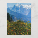 Suche nach bernese berg postkarten Oberland