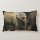 Suche nach elefant foto kissen Elefanten