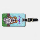 Recherche de st bernard accessoires Chiot
