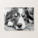 Recherche de colley puzzles Collie