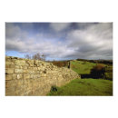 Suche nach hadrian poster Alt