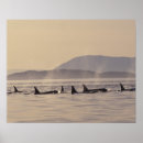 Suche nach washington state poster Wildlife