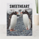 Suche nach liebe penguin Romantisch