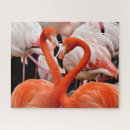 Suche nach flamingo puzzle Natur