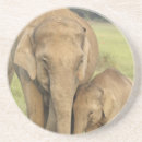 Suche nach asiatischer elefant untersetzer Nationalpark