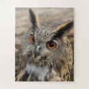 Recherche de aigles puzzles Nature