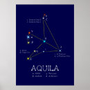 Suche nach aquila poster Adler