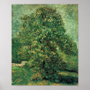 Suche nach kastanienbaum poster Van gogh
