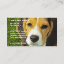 Recherche de chien beagle cartes visite Chiens