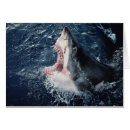 Suche nach amos postkarten Horizontal