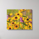 Suche nach blumen leinwand Wildblume