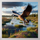 Suche nach kanada gänse poster Vogelvogel