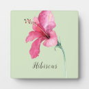 Suche nach mit blumen fotoplatten Aquarell